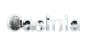 Casinia